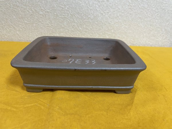 画像1: No.SA51113 黎鳳 (1)