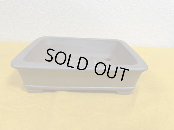 画像1: No.SA51113 黎鳳 (1)