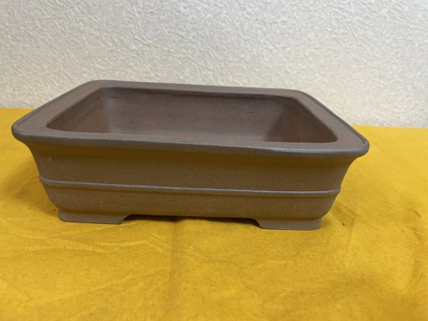 画像1: No.SA51114 黎鳳 (1)