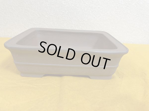 画像1: No.SA51114 黎鳳 (1)