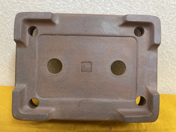 画像2: No.SA51114 黎鳳 (2)