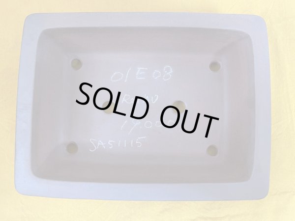 画像3: No.SA51114 黎鳳 (3)