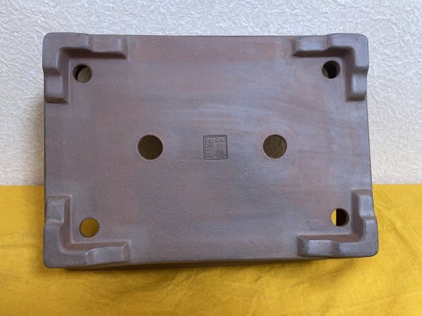 画像3: No.SA51115 黎鳳 (3)