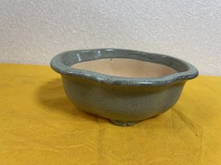 黎鳯 盆栽鉢 盆栽鉢販売店 ｜ 盆栽鉢専門の盆栽ネットワーク・ジャパン (Page 2)