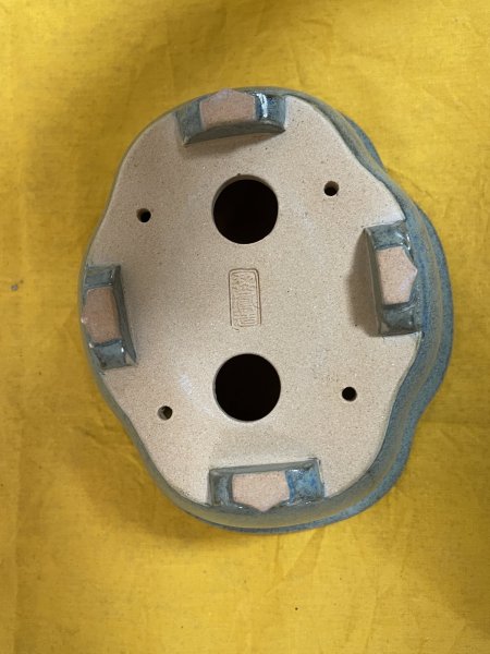 画像3: No.SA51117 黎鳳 (3)