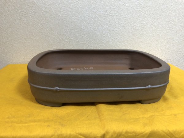 画像1: No.SA51134 黎鳳 (1)