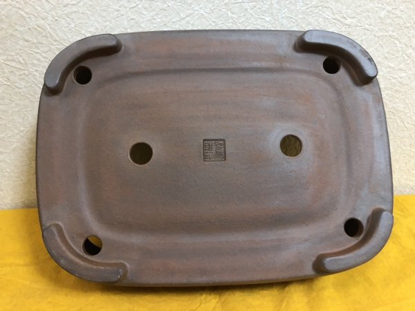 画像3: No.SA51134 黎鳳 (3)