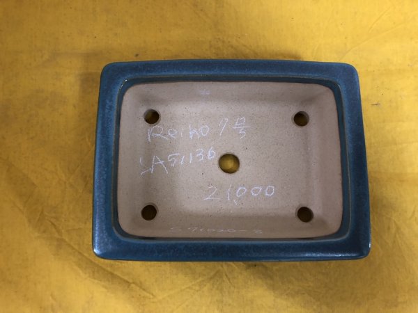 画像2: No.SA51136 黎鳳 (2)