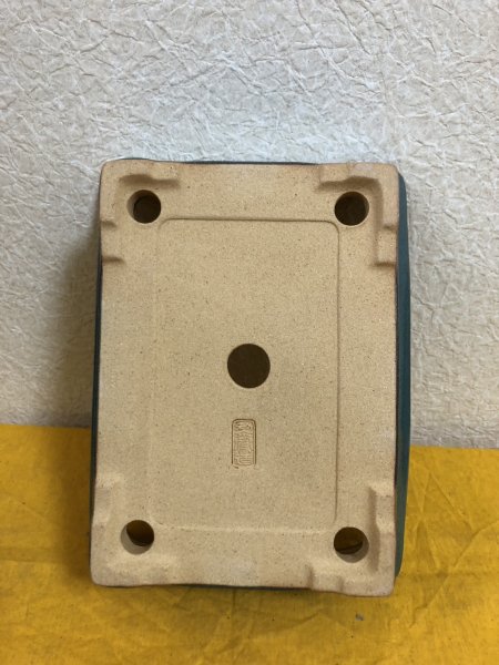 画像3: No.SA51136 黎鳳 (3)