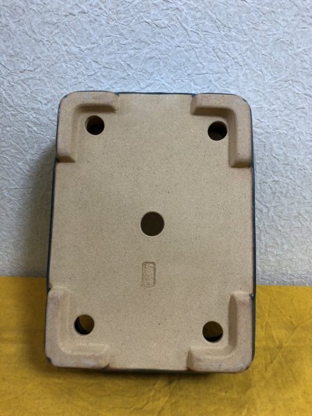 画像3: No.SA51137 黎鳳 (3)