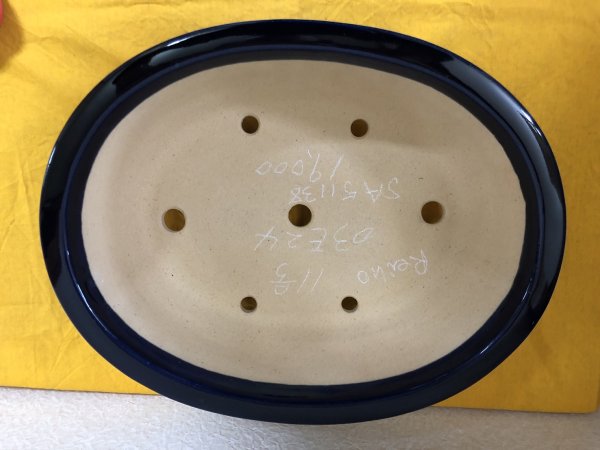 画像2: No.SA51138 黎鳳 (2)