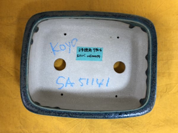 画像2: No.SA51141 鴻陽 (2)