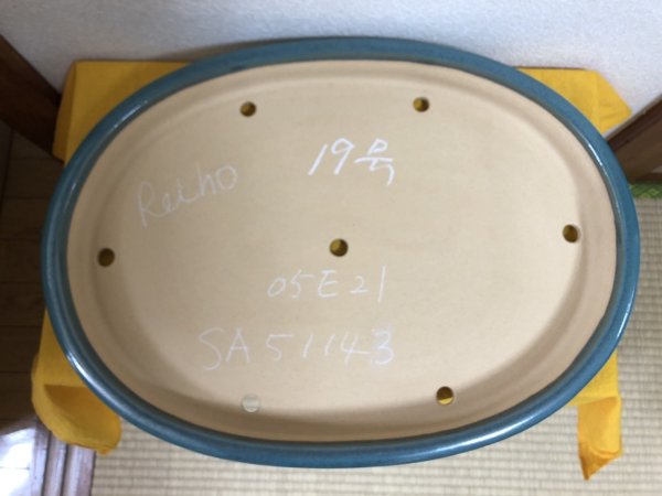 画像2: No.SA51143 黎鳳 (2)