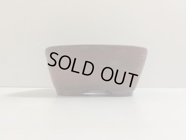 画像2: No.DA4726 美芸 (2)