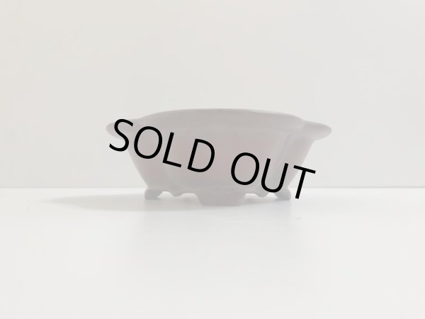 画像2: No.DA4730 美芸 (2)