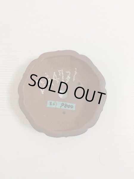 画像3: No.DA4731 美芸 (3)