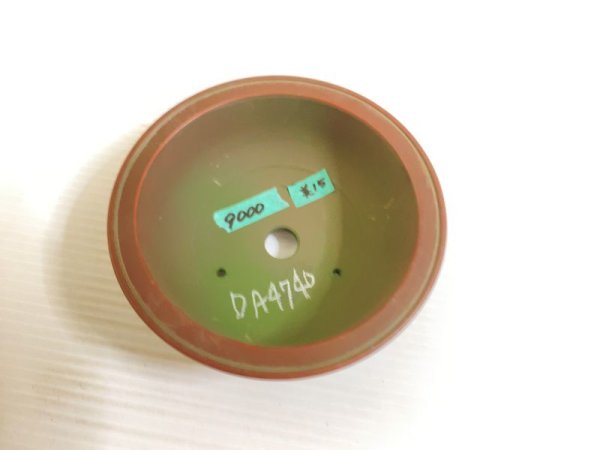 画像3: No.DA4740 美芸 (3)