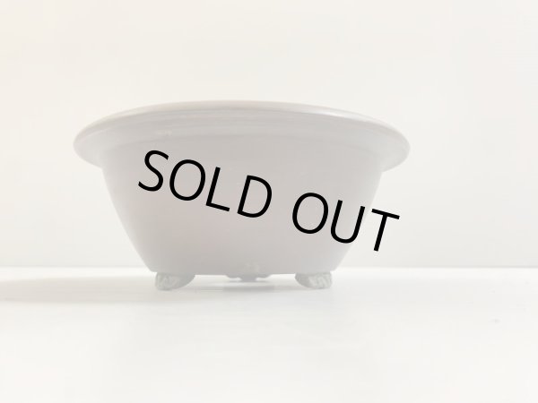 画像2: No.DA4742 美芸 (2)