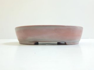 常滑鉢 ｜ 鉢専門の盆栽ネットワーク・ジャパン (Page 5)