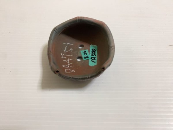 画像4: No.DA4751 美芸 (4)