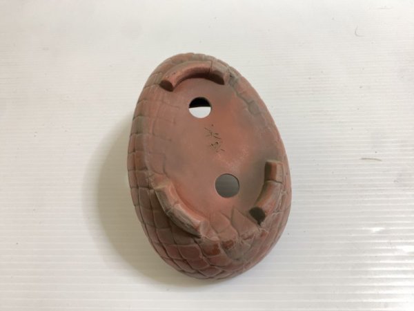 画像5: No.DA4753 美芸 (5)