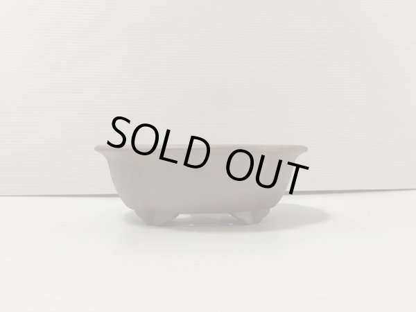 画像1: No.DA4854 黎鳳 (1)