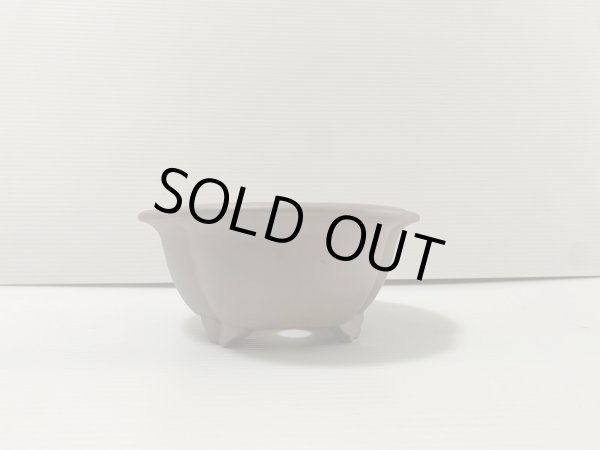 画像2: No.DA4854 黎鳳 (2)