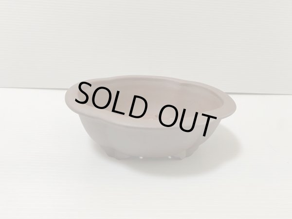 画像3: No.DA4854 黎鳳 (3)