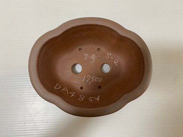 画像4: No.DA4854 黎鳳 (4)