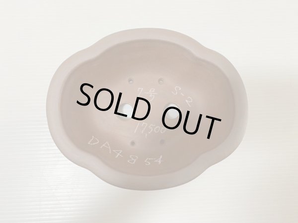 画像4: No.DA4854 黎鳳 (4)