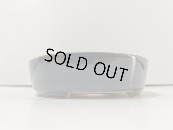 画像2: No.DA4856 黎鳳 (2)