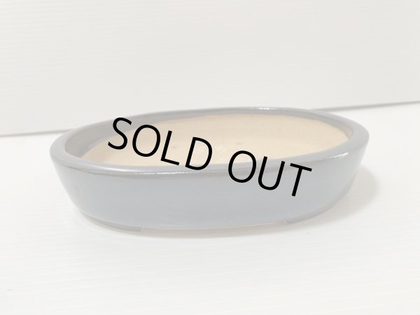 画像3: No.DA4856 黎鳳 (3)