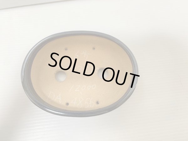 画像4: No.DA4856 黎鳳 (4)