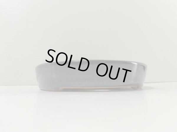 画像2: No.DA4857 黎鳳 (2)