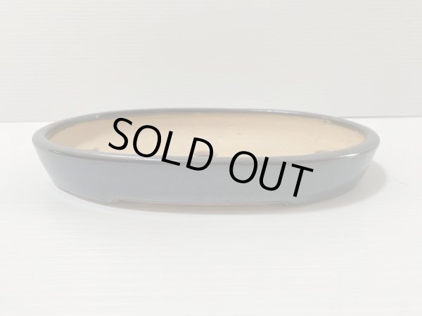 画像3: No.DA4857 黎鳳 (3)