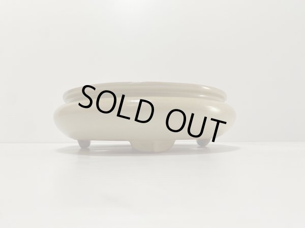 画像2: No.DA4860 黎鳳 (2)