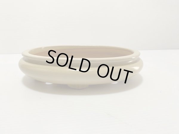 画像3: No.DA4860 黎鳳 (3)