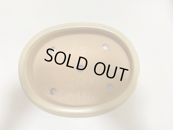 画像4: No.DA4860 黎鳳 (4)