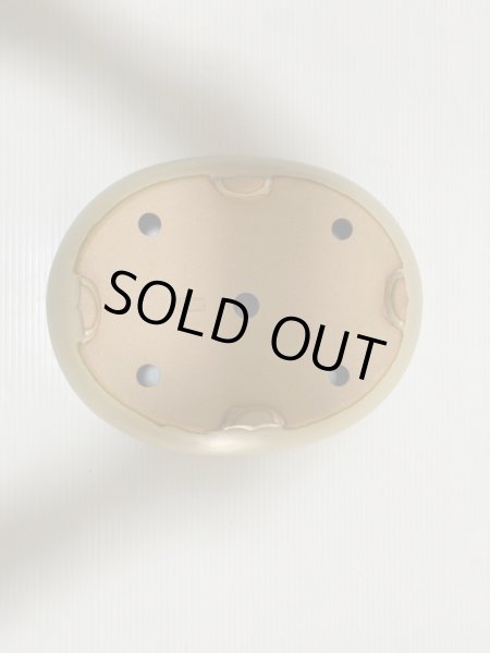 画像5: No.DA4860 黎鳳 (5)