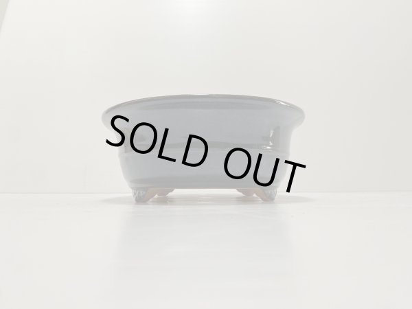 画像2: No.DA4862 黎鳳 (2)