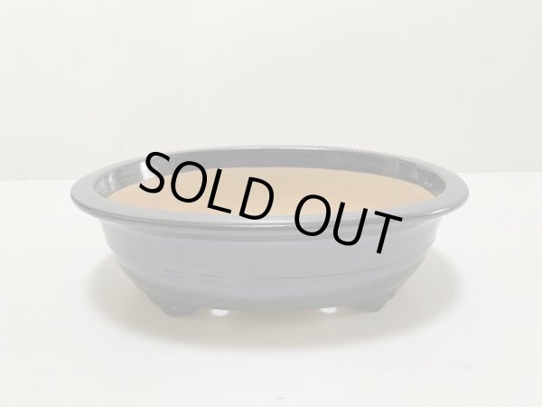 画像3: No.DA4862 黎鳳 (3)