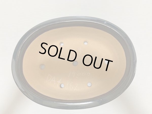 画像4: No.DA4862 黎鳳 (4)