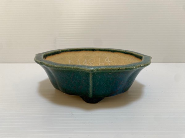 画像1: No.DA4864 鴻陽 (1)
