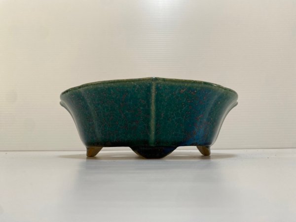 画像2: No.DA4864 鴻陽 (2)