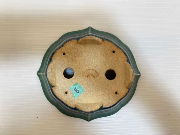 画像4: No.DA4864 鴻陽 (4)