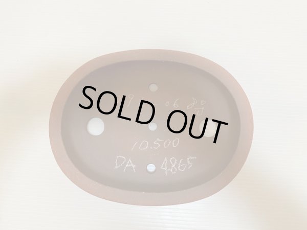 画像4: No.DA4865 和泉屋 (4)