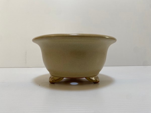 画像2: No.DA4866 黎鳳 (2)