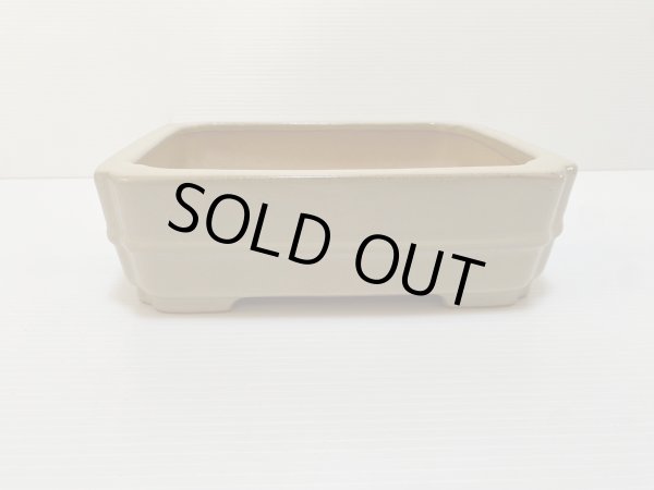 画像1: No.DA4867 黎鳳 (1)