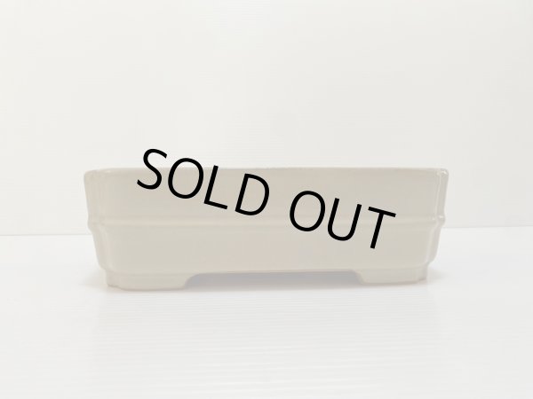 画像2: No.DA4867 黎鳳 (2)