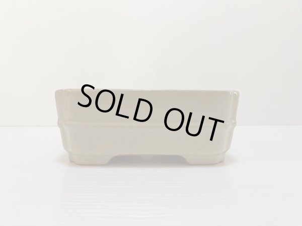 画像3: No.DA4867 黎鳳 (3)